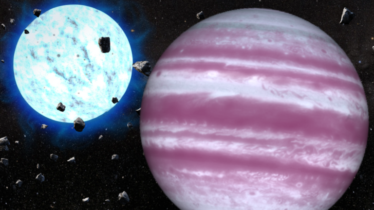 ‘Stellar death is not the end’: James Webb Space Telescope glimpses the fate of the solar system in a weird exoplanet orbiting a dead star